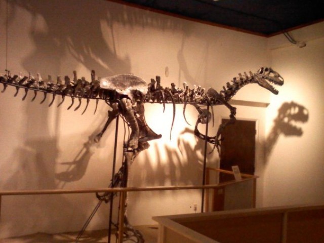 Agency Photo  (92277)