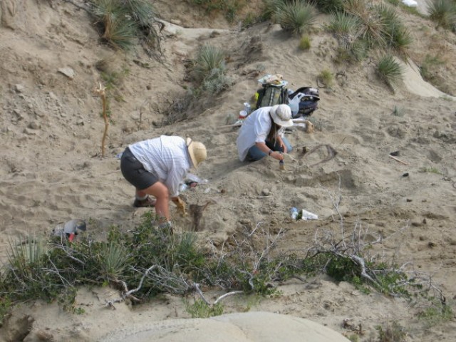 Agency Photo  (92280)