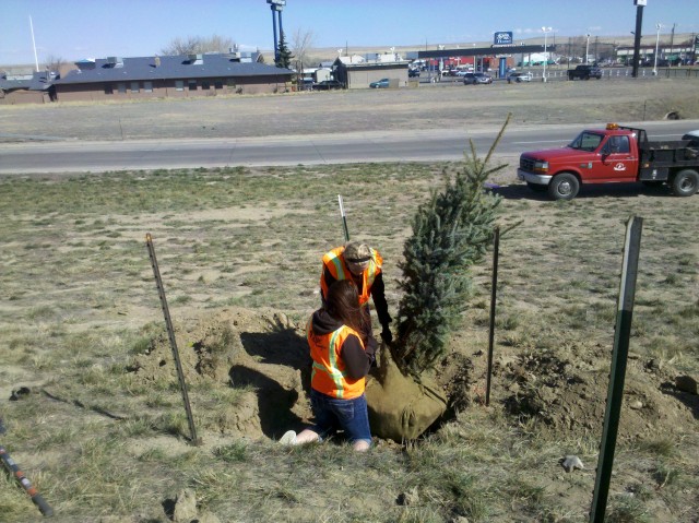 Agency Photo  (25858)