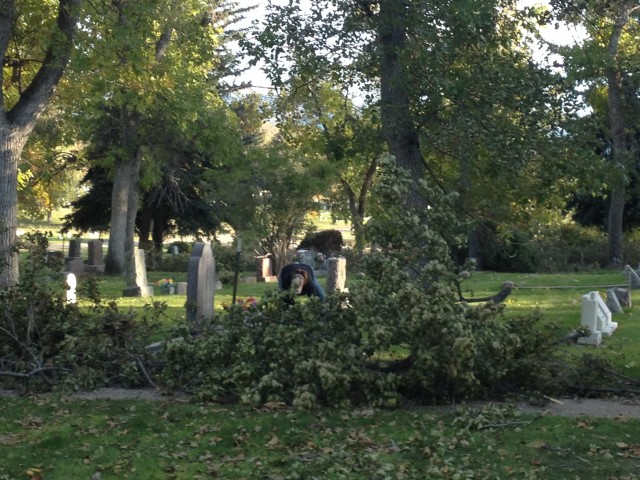 Agency Photo  (25865)