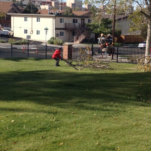 Agency Photo  (25866)