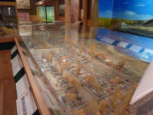 Agency Photo  (103560)