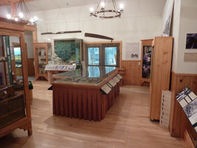 Agency Photo  (103561)