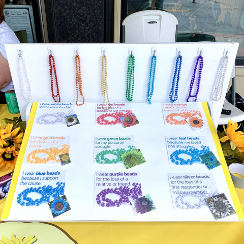 Agency Photo  (165299)