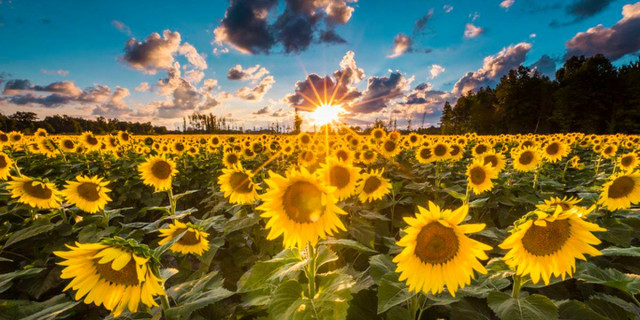 Agency Photo  (165294)