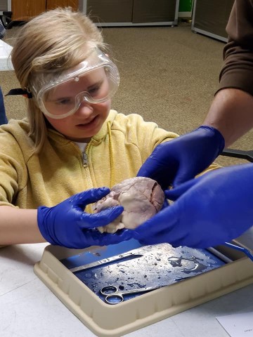 Agency Photo  (201147)