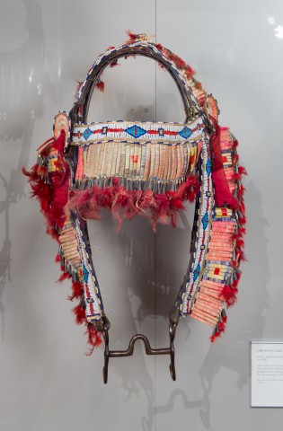 Agency Photo  (66035)