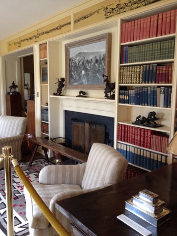 Agency Photo  (86154)