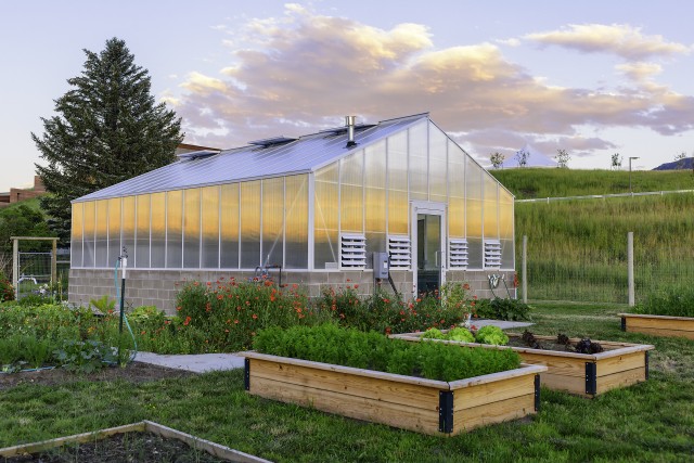 Agency Photo  (71335)