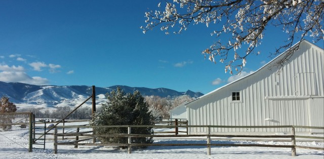 Agency Photo  (86155)