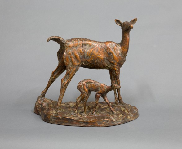 Agency Photo  (86158)