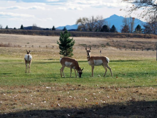 Agency Photo  (140165)