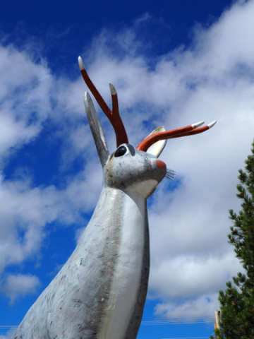 Agency Photo  (140141)