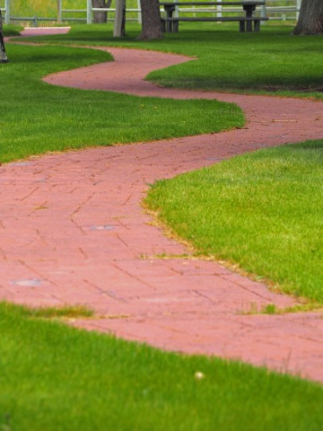 Agency Photo  (140156)