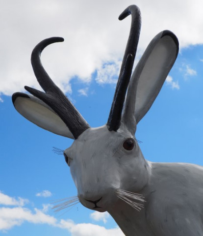 Agency Photo  (140167)