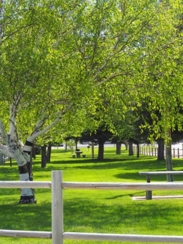 Agency Photo  (140158)