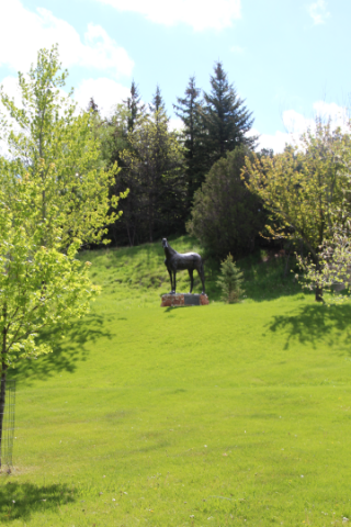 Agency Photo  (140178)