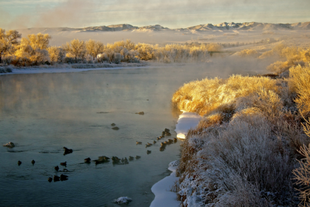 Agency Photo  (140162)