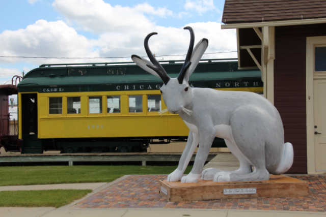 Agency Photo  (140170)