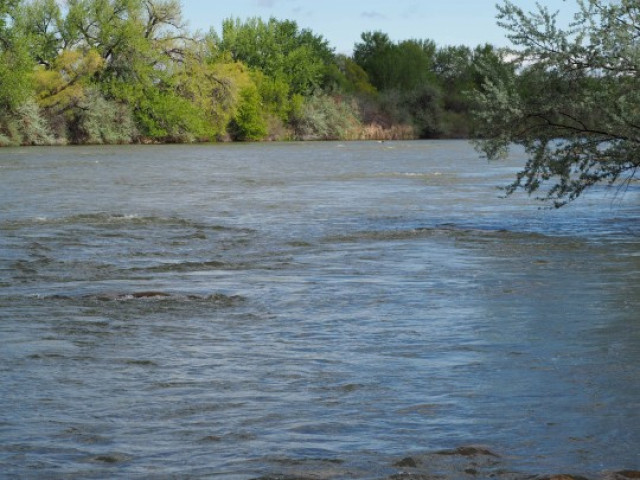 Agency Photo  (140155)