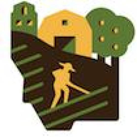 Organization Logo