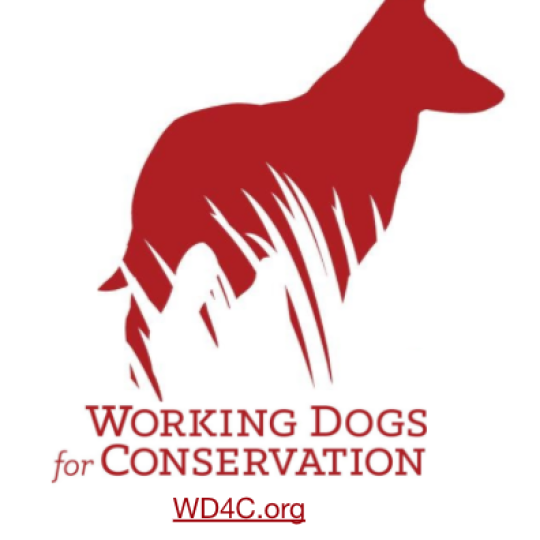 Organization Logo