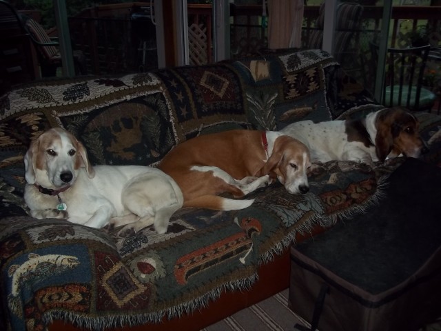 Organization Photo  (58583)