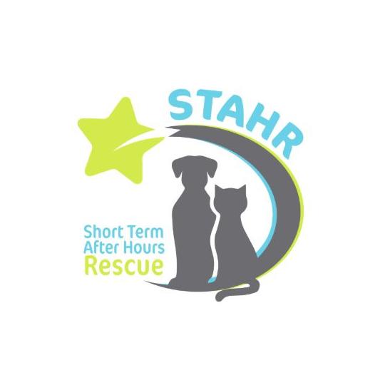 Agency Logo