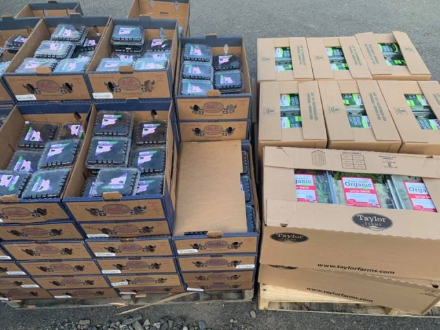 Agency Photo  (188486)