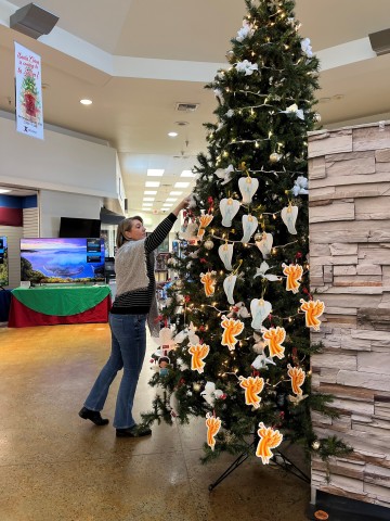 Agency Photo  (201778)