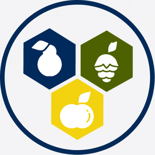 Agency Logo