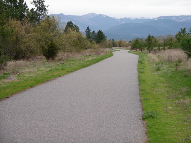 Agency Photo  (33510)