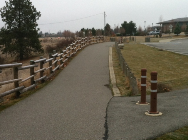 Agency Photo  (33513)