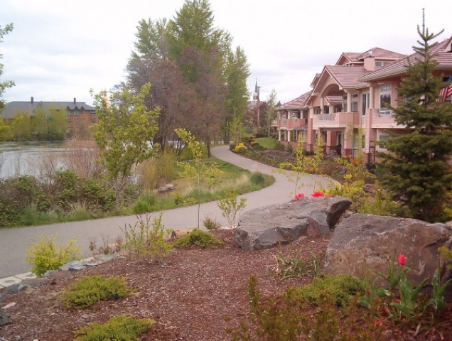 Agency Photo  (33512)