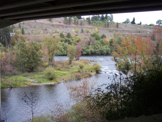 Agency Photo  (33515)