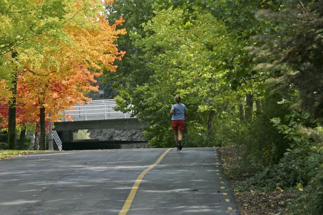 Agency Photo  (181920)