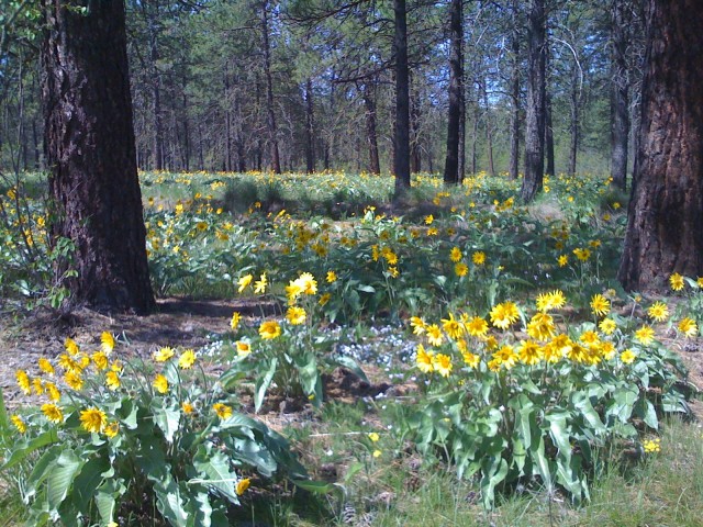 Agency Photo  (181921)