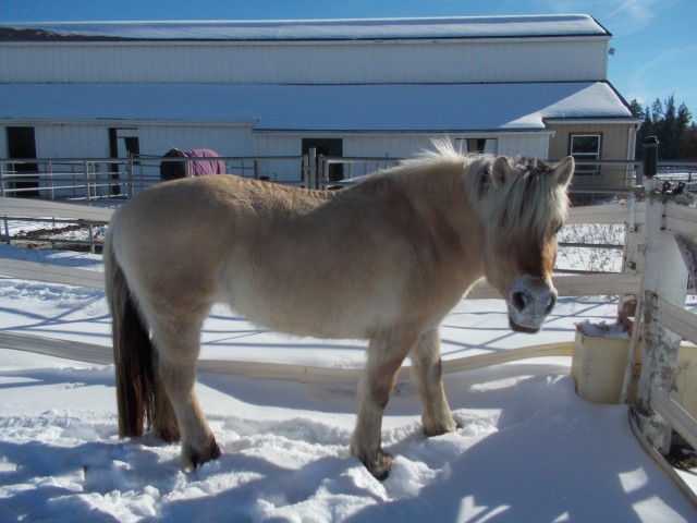 Agency Photo  (36304)