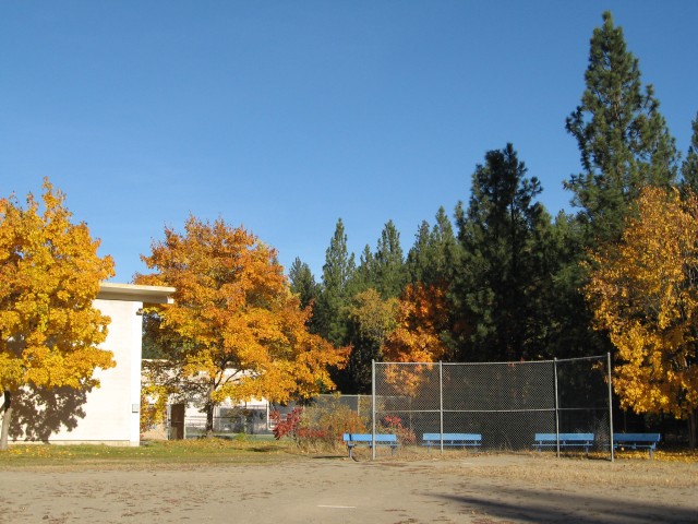 Agency Photo  (43061)