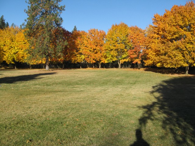 Agency Photo  (43060)