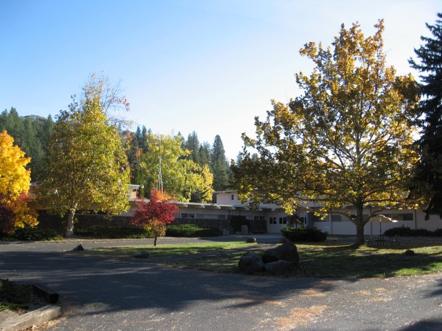 Agency Photo  (43058)