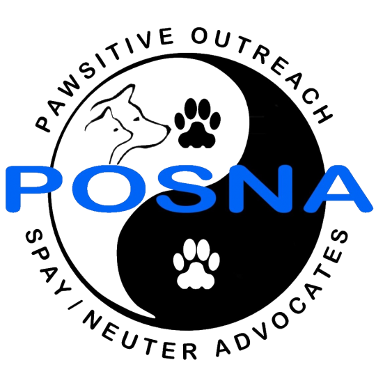 Agency Logo