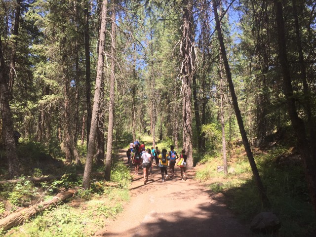 Agency Photo  (106638)