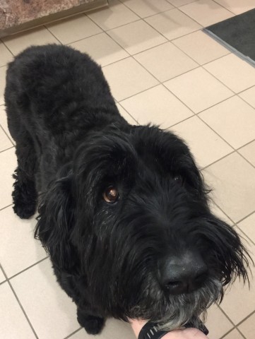 Agency Photo  (106173)