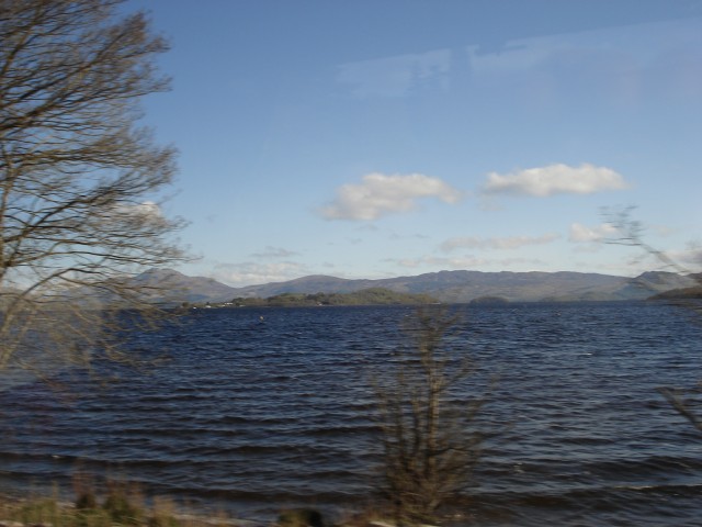 Agency Photo  (106196)