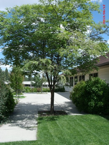 Agency Photo  (106221)