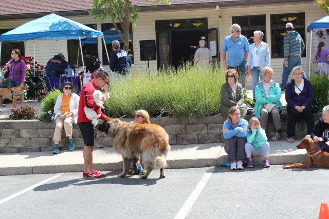 Agency Photo  (106192)