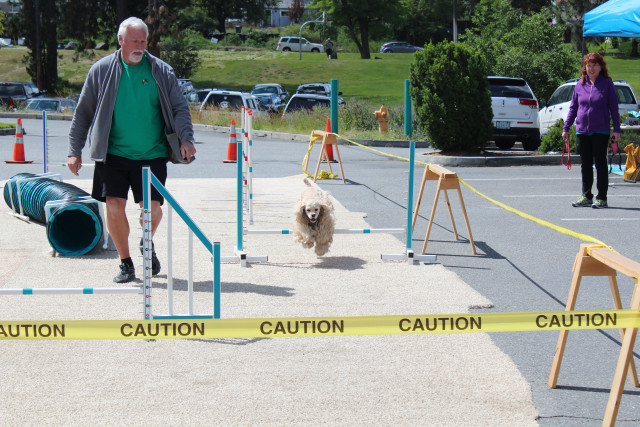 Agency Photo  (116619)