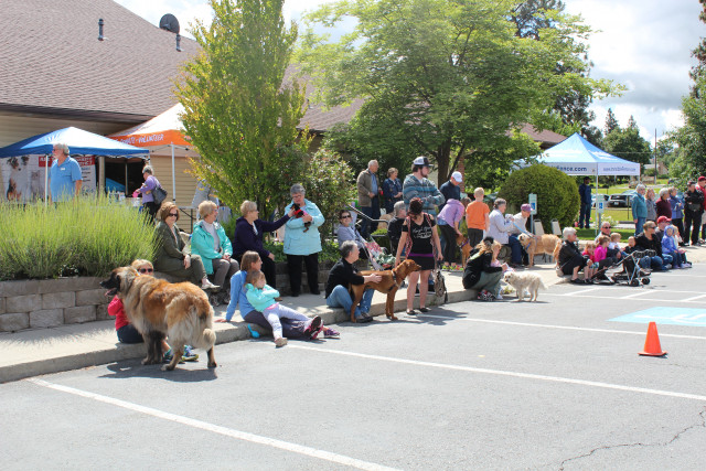 Agency Photo  (116621)