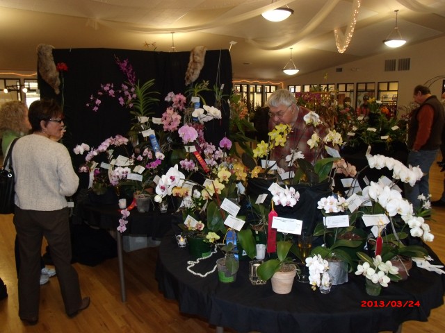 Agency Photo  (106219)